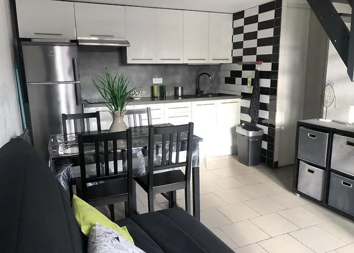 Villa Saint-cyprien : T2 Mezzanine 4/5 Pers, Moderne, A 500m, Parking Prive, Animaux Ok - Fr-1-793-27 *