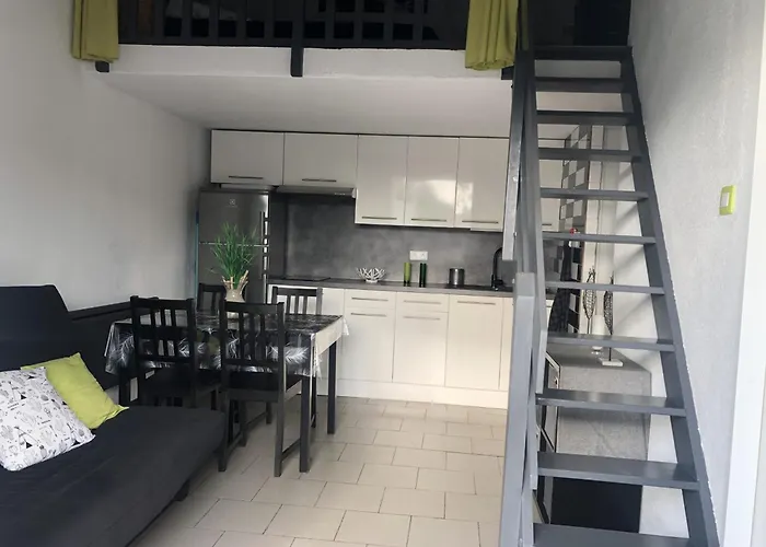Saint-cyprien : T2 Mezzanine 4/5 Pers, Moderne, A 500m, Parking Prive, Animaux Ok - Fr-1-793-27 * Saint-Cyprien (Pyrenees-Orientales)