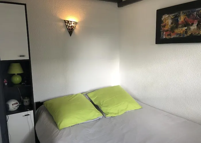 Saint-cyprien : T2 Mezzanine 4/5 Pers, Moderne, A 500m, Parking Prive, Animaux Ok - Fr-1-793-27